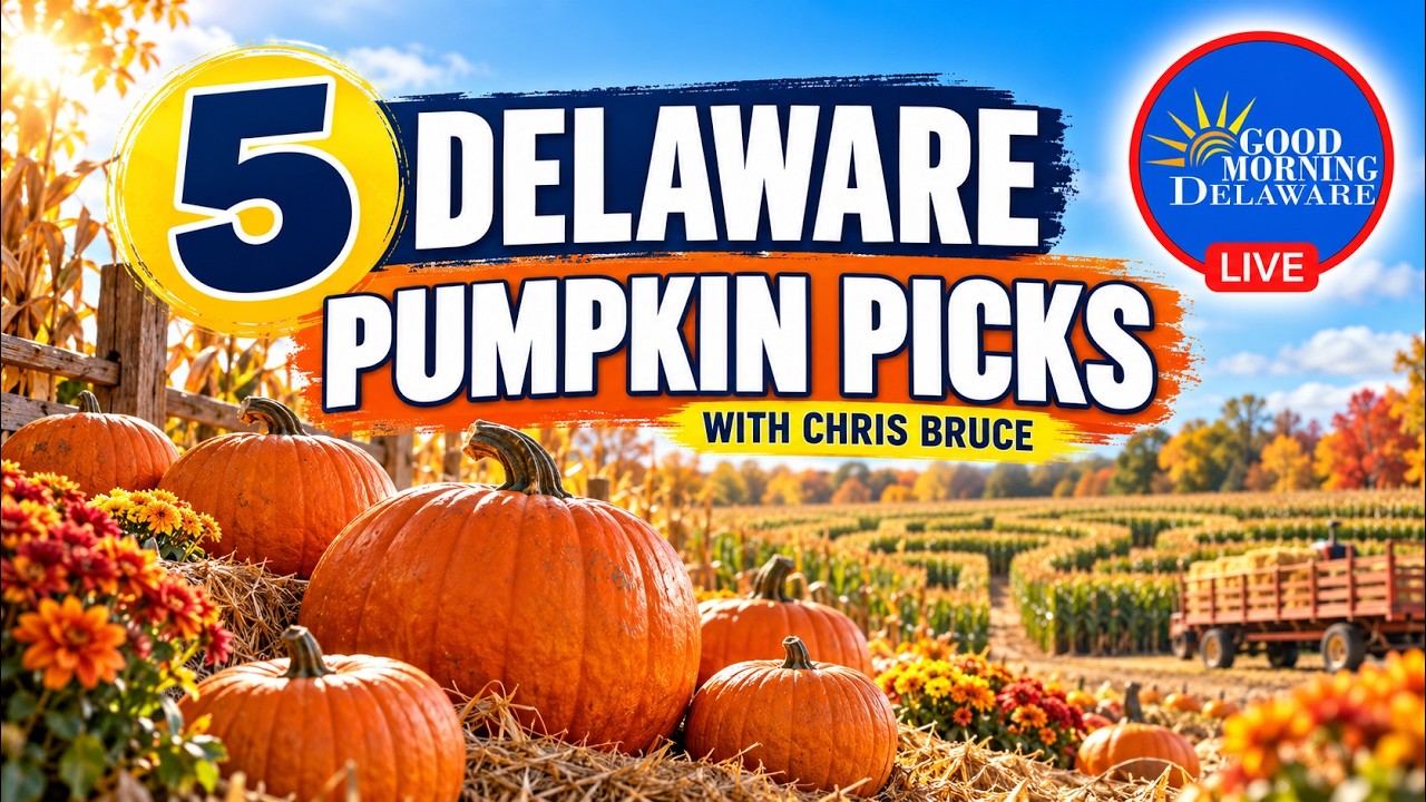 Five Delaware pumpkin spots for fall 2026 with Chris Bruce on Good Morning Delaware, pumpkins and a corn maze